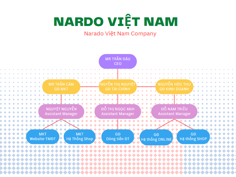 Nardo ViỆt Nam1